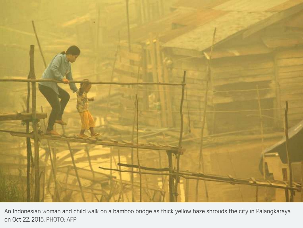 En Indonésie, la crise environnementale liée aux fumées toxiques pourrait bien se transformer en crise humanitaire. Copie d’écran du Straits Times, le 23 octobre 2015.