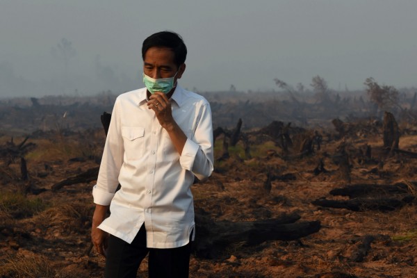 Au sud de Kalimantan (île de Bornéo), le Président indonésien Jokowi inspecte une tourbière après un incendie, le 23 septembre 2015. Crédit : ROMEO GACAD / AFP.