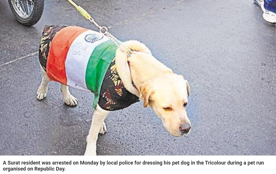 en Inde, chien portant un drapeau du pays