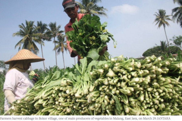 Indonésie : Jokowi développe le e-commerce agricole. Copie d'écran du "Jakarta Post", le 11 avril 2016.