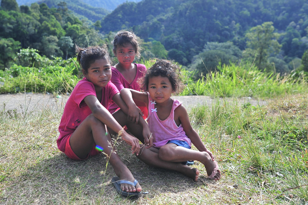 Trois fillettes orang asli dans la région des monts Cameron, en février 2016.