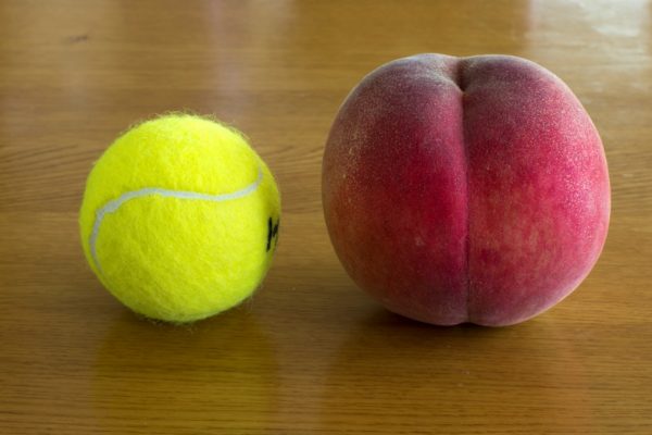 À gauche, une balle de tennis, de taille équivalente à celle d'une pêche vendue en France ; à droite, une pêche de taille standard vendue au Japon.