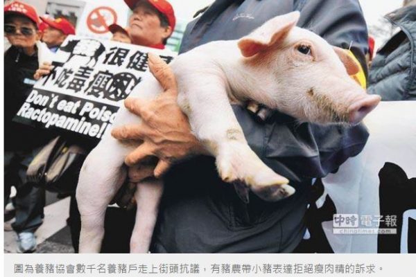 Des éleveurs de porcs sont descendus dans la rue manifester contre l'importation de porc américain. L'un d'eux est venu avec un porcelet pour montrer son mécontentement. Copie d'écran du “China Times”, le 1er juin 2016.