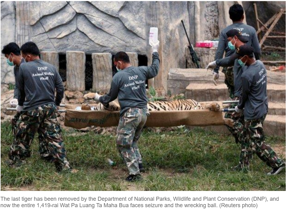 Le Temple des tigres va peut-être devoir fermer après les nombreux scandales de maltraitance animalière, envenimé par des violations des lois environnementales et foncières. Copie d'écran du “Bangkok Post”, le 6 juin 2016.