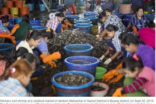 Des travailleurs classent des crevettes dans un marché de fruit de mer à Mahachai, le 30 septembre 2015. L'Union européenne veut que la Thaïlande entreprenne rapidement des actions pour améliorer ses pratique de pêche et de travail. Copie d'écran du “Bangkok Post”, le 8 juin 2016.