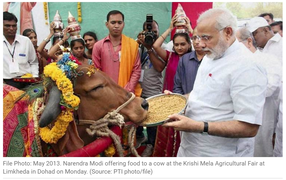 La vache est un animal sacré dans l'hindouisme. Copie d'écran de The Indian Express, le 18 juillet 2016.