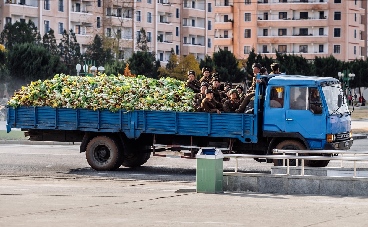 Dans Pyongyang, au pied du Monument du Parti des Travailleurs, passe un camion bondé de choux et de soldats.
