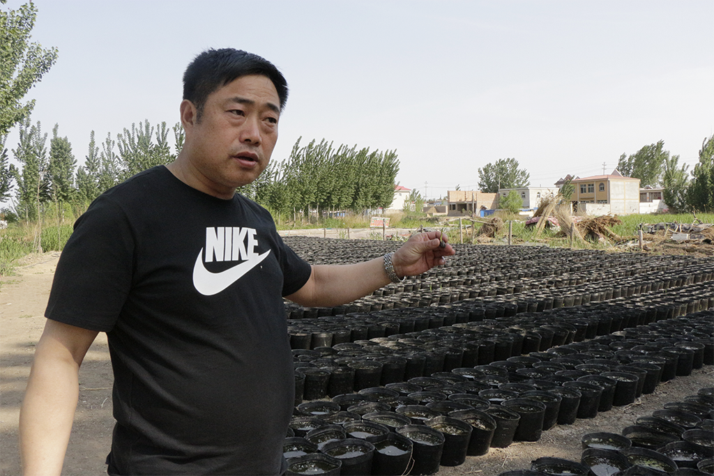 Li Wenkai dans son champs de racines de lotus à Majiazai, village du district de Xiong'an dans la province chinoise du Hebei. (Copyright : Élodie Buzaud)