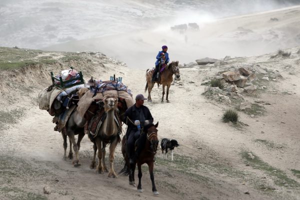 Des gardiens de troupeaux emmènent des chameaux dans leur transhumance vers les pâturages estivaux dans la région montagneuse de la préfecture d'Altay, dans la province chinoise du Xinjiang au nord-ouest du pays, le 5 juin 2016. (Crédits : Zhang wencheng / Imaginechina / via AFP)