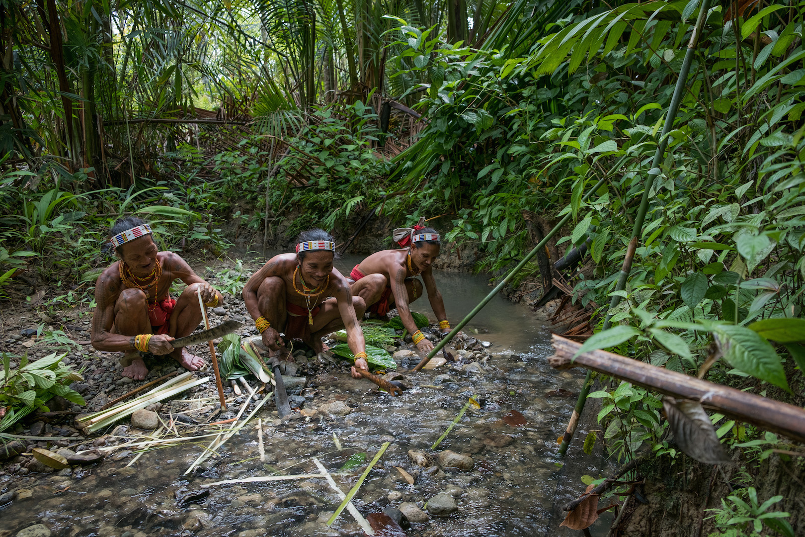 Chamanes d'une tribu indigène des îles Mentawai en Indonésie, les Sikereis prennent de l'eau de rivière pour fabriquer les médicaments aux plantes pour leurs patients. (Copyright : Danishwara Nathaniel, 2017)