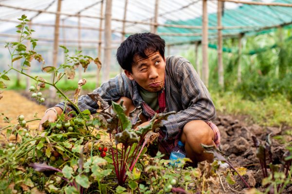 Lautlee, le jeune Hmong entrepreneur dans sa ferme "Living Land".