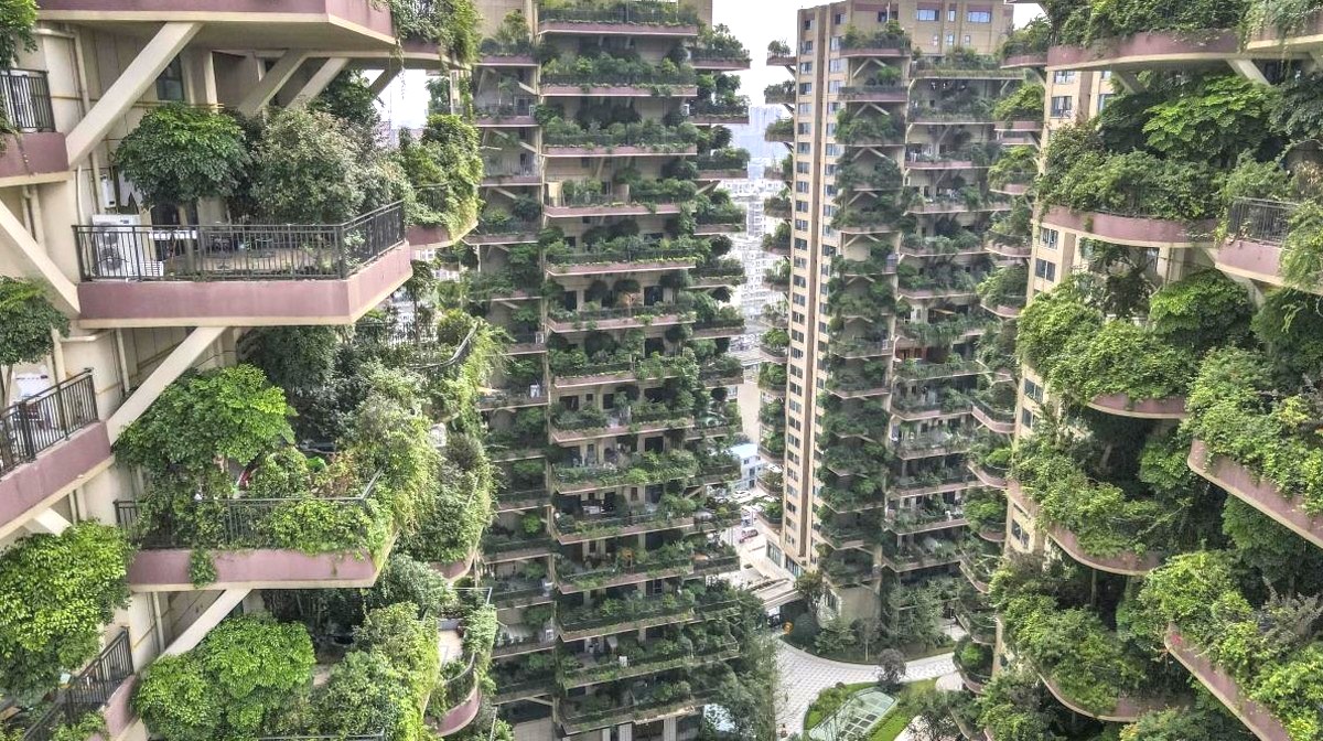 Complexe immobilier expérimental de 826 appartements, construit à Chengdu, capitale du Sichuan, au sud-ouest de la Chine. Les résidents vivent dans une "forêt verticale" avec de la végétation sur tous les balcons. (Source : Construction21)