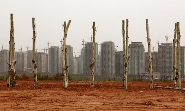 Nouvelle ligne de plantation d'arbre devant des tours résidentielles en construction du district de Kangbashi à Ordos, en Mongolie-Intérieure. (Source : IB Times)