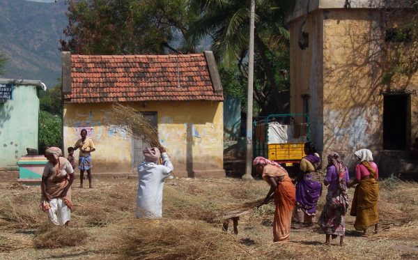 Scène champêtre au Tamil Nadu (Photo V. de J.)
